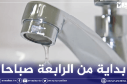 المدير العام للجزائرية للمياه: برنامج خاص لتوزيع المياه خلال العيد