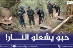 إحباط محاولة إضرام نار متعمدة بغابة بينام بالعاصمة