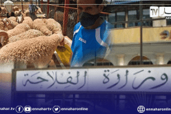 وزارة الفلاحة تشدد على إحترام الإجراءات الصحية في بيع الأضاحي