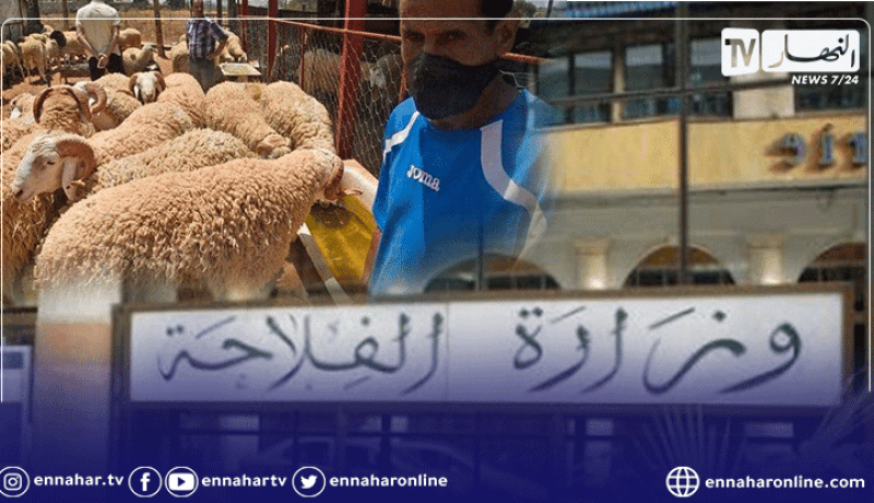 وزارة الفلاحة تشدد على إحترام الإجراءات الصحية في بيع الأضاحي