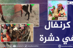 طالع هابط: 2021 ..  رحلة البحث عن الغاز والماء بالحمير .. العجب