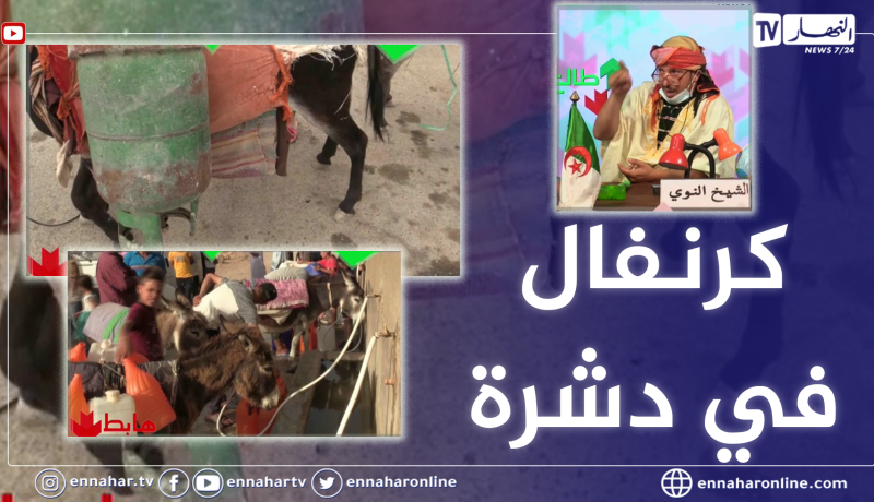 طالع هابط: 2021 ..  رحلة البحث عن الغاز والماء بالحمير .. العجب