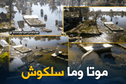 بالصور..قبور الموتى تغرق بوهران