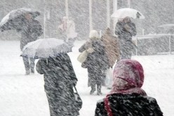 حذار.. موجة برد شديد تضرب كل من البيض والنعامة