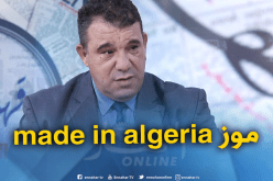 قريبا..موز منتج محلّيا للمواطنين