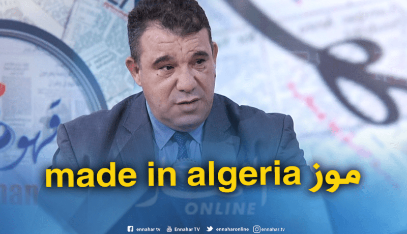 قريبا..موز منتج محلّيا للمواطنين