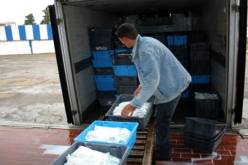 ممثل نقابة الموزعين: ندرة الحليب سببها توقف 15 بالمائة من الموزعين عن النشاط