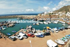 صيادون يرمون صناديق السردين إلى البحر بميناء كريشتل في وهران