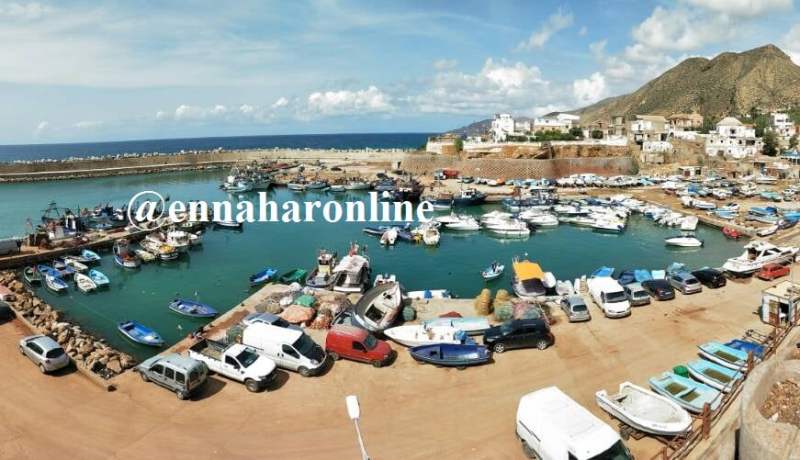 صيادون يرمون صناديق السردين إلى البحر بميناء كريشتل في وهران