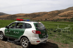 درك سطيف يتلف أزيد من 42 هكتار من المحاصيل المسقية بالمياه “القذرة”