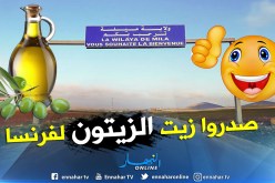 مليون و446 ألف أورو صادرات ميلة خارج المحروقات في 2018