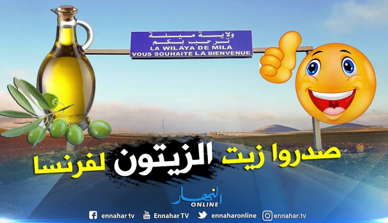 مليون و446 ألف أورو صادرات ميلة خارج المحروقات في 2018