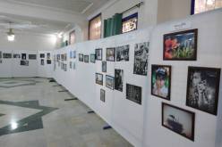 بالصور.. 27 ولاية في الصالون الوطني السابع للصورة الفوتوغرافية بميلة