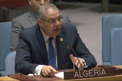 الجزائر تجدد بالأمم المتحدة إلتزامها بدعم البلدان المجاورة للساحل