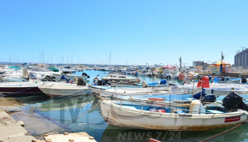 العاصمة.. إستئناف نشاط مهني الصيد البحري غدا الثلاثاء