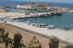 وزير النقل: ربط ميناء الحمدانية بخطوط السكك الحديدية نحو الحدود المالية والنيجيرية