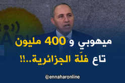 هكذا ردّ وزير الثقافة على 400 مليون التي منحها لفلّة..!!