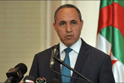 ميهوبي يشارك في حفل افتتاح قمة المكتبات العمومية الإفريقية بجنوب إفريقيا