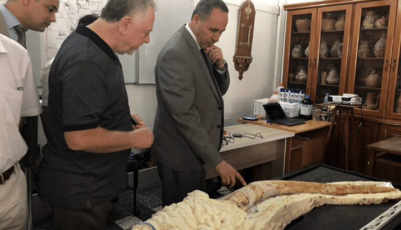 ميهوبي يأمر باستكمال الحفريات في سطيف وتوسيعها إلى ولايات أخرى