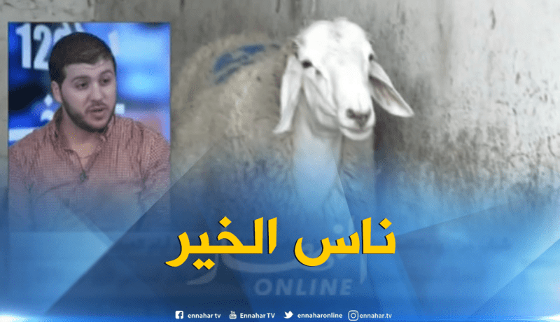 مجموعات الخير تسارع من اجل توفير أضحية العيد للعائلات المعوزة…!