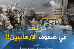 الجزائر تطهّر حدودها من فلول الإرهاب.. 125 إرهابي يستسلمون طواعية