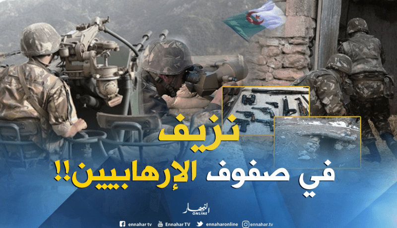 الجزائر تطهّر حدودها من فلول الإرهاب.. 125 إرهابي يستسلمون طواعية