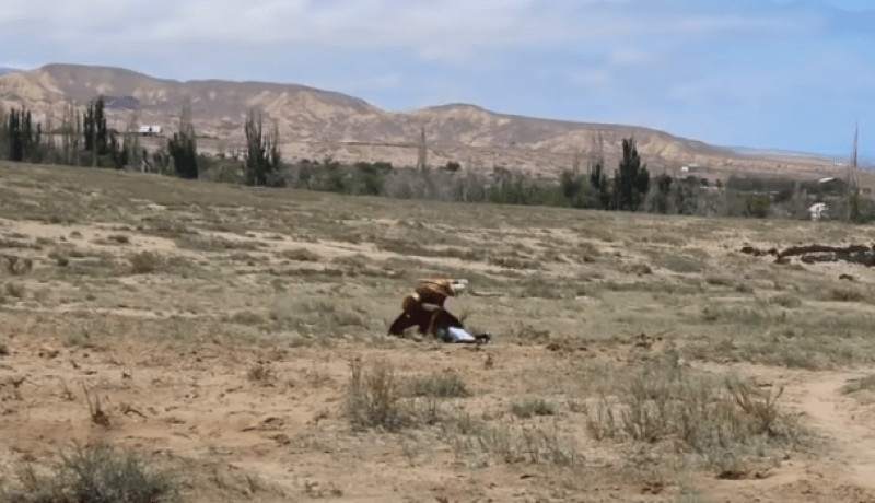 بالفيديو.. نسر جارح يحاول اختطاف فتاة