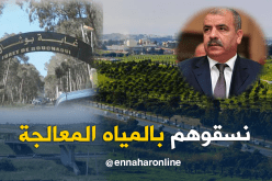 نسيب.. مياه معالجة لسقي المساحات الخضراء بالولايات الكبرى