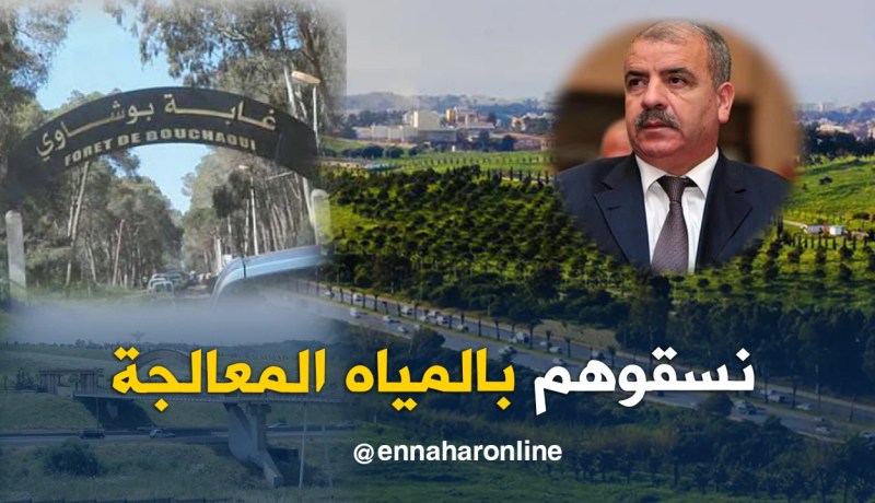 نسيب.. مياه معالجة لسقي المساحات الخضراء بالولايات الكبرى