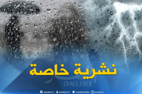 نشرية خاصة تحذر من أمطار رعدية على 8 ولايات