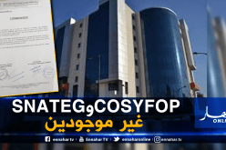 بيان: نقابة الإتحاد العام للعمال الجزائريين هي الممثل الوحيد للعمال في شركة SOPIEG