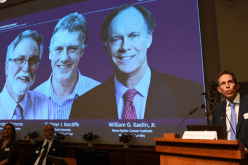 3 علماء يتقاسمون جائزة نوبل للطب 2019 عن هذا الإنجاز