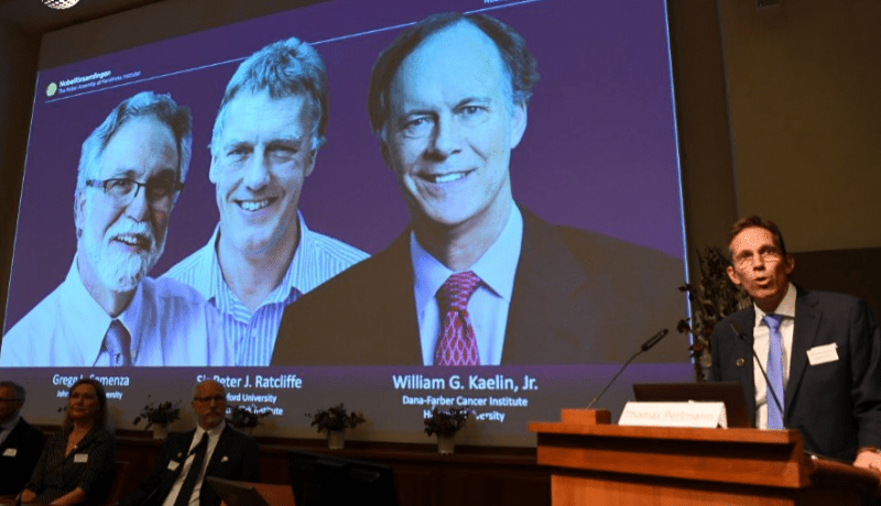 3 علماء يتقاسمون جائزة نوبل للطب 2019 عن هذا الإنجاز