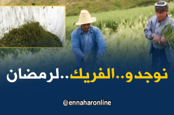 الشلف: فلاحون بأولاد بن عبد القادر يحضرون”المرمز”للشهر الفضيل
