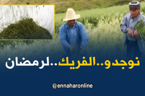 الشلف: فلاحون بأولاد بن عبد القادر يحضرون”المرمز”للشهر الفضيل