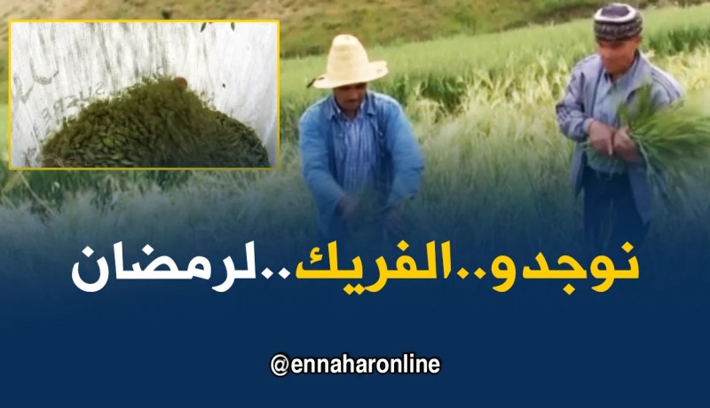 الشلف: فلاحون بأولاد بن عبد القادر يحضرون”المرمز”للشهر الفضيل