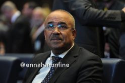 بدوي: سنعيد إحياء السياحة في الجنوب بتعليمات الرئيس