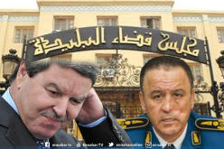 مجلس قضاء البليدة: تأييد الحكم بـ4 سنوات حبسا في حق هامل وبراشدي