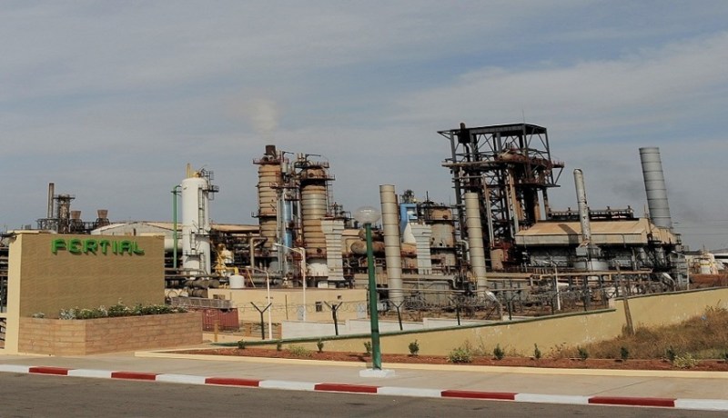 “فرتيال” تحتج على تعيين مسير إداري لها.. لسنا ملكا لعلي حداد