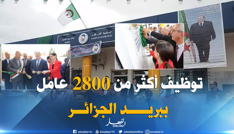 هدى فرعون: تم توزيع 5 مليون “بطاقة ذهبية”