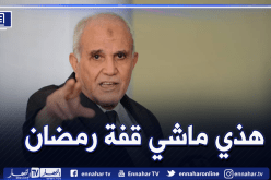 شرفي.. هكذا سيتم صرف إعانة 30 مليون للمترشحين الشباب