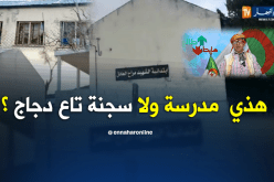 طالع هابط: مدرسة في جميلة بسطيف..هكذا تُطور الدراسة في الجزائر