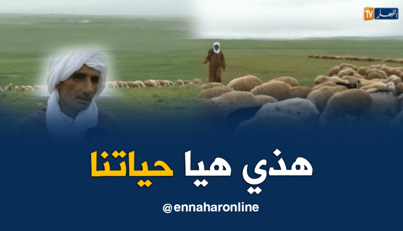 البدو الرحل يشدون رحالهم نحو تلال تيارت.. بحثاً عن الاكل لمواشيهم