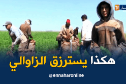 من المسيلة لعين تيموشنت… خبزة حلال ولا القعدة في الدار