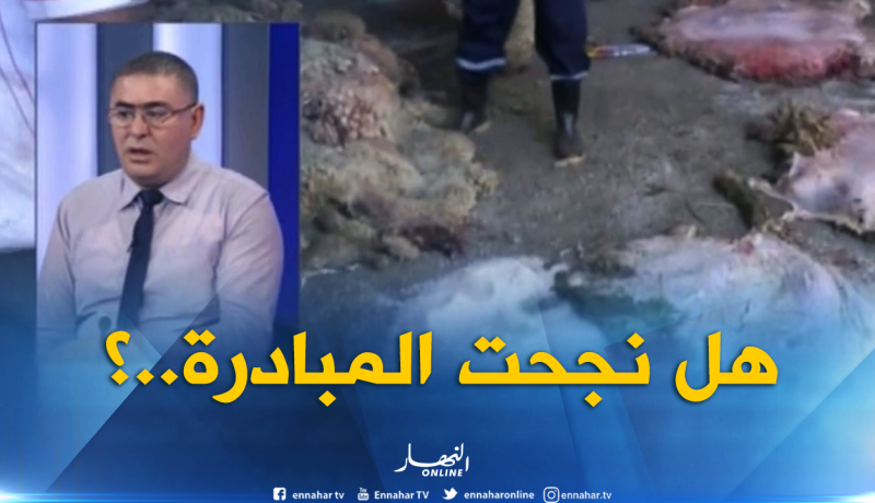 اليوم الأخير من إنقضاء عملية جمع جلود الأضاحي…ما مدى نجاح المبادرة ؟