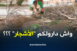 الشيخ النوي : عين تيموشنت من الدخلة للخرجة كارثة