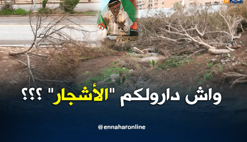 الشيخ النوي : عين تيموشنت من الدخلة للخرجة كارثة