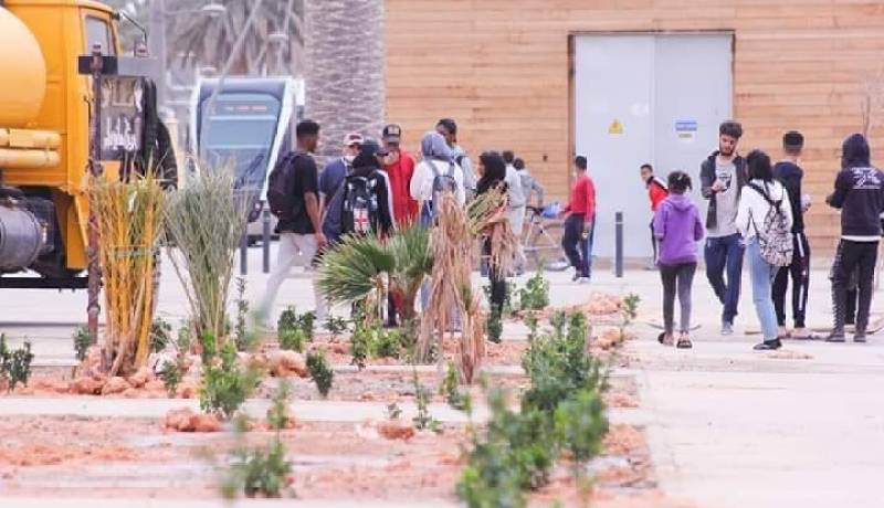 ورقلة.. حملة تشجير بمحاذات خط الترامواي