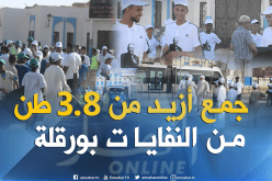 بالصور.. هكذا شارك أبناء ورقلة في حملة النظافة الوطنية