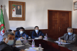 وزارة الفلاحة: تحسين شبكة توزيع الحليب المدعم